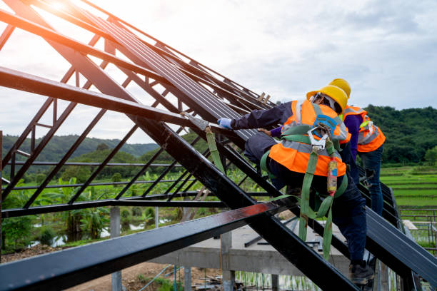 Best Roof Gutter Cleaning  in Corvallis, MT